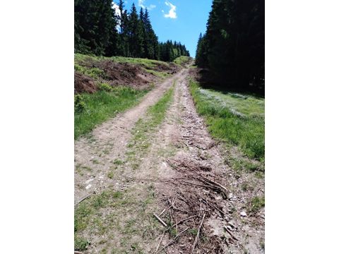 Foto 147